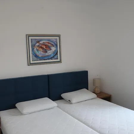 Hisa Stella Istra Lovrečica